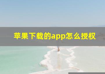 苹果下载的app怎么授权