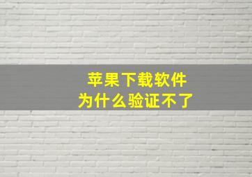 苹果下载软件为什么验证不了