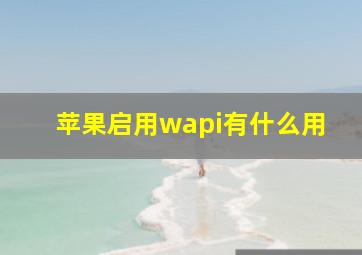 苹果启用wapi有什么用