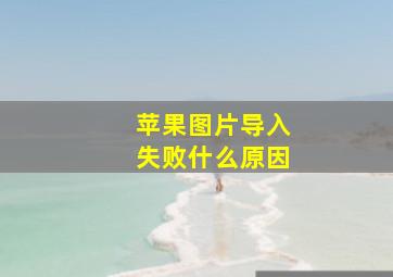 苹果图片导入失败什么原因