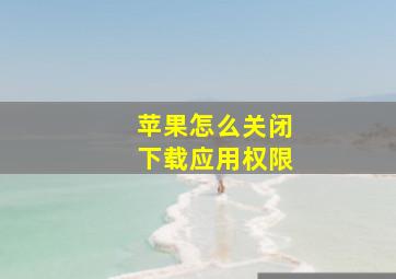 苹果怎么关闭下载应用权限