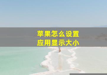 苹果怎么设置应用显示大小