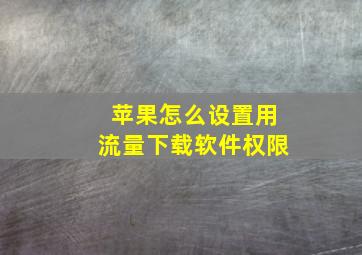 苹果怎么设置用流量下载软件权限