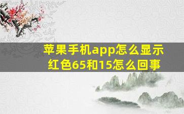 苹果手机app怎么显示红色65和15怎么回事