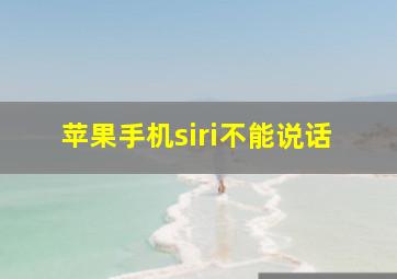 苹果手机siri不能说话