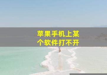 苹果手机上某个软件打不开