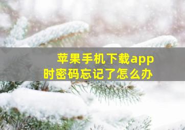 苹果手机下载app时密码忘记了怎么办