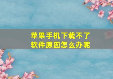 苹果手机下载不了软件原因怎么办呢