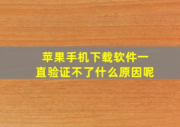 苹果手机下载软件一直验证不了什么原因呢