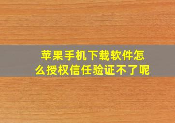 苹果手机下载软件怎么授权信任验证不了呢