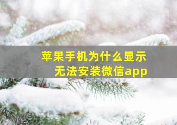 苹果手机为什么显示无法安装微信app