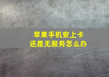 苹果手机安上卡还是无服务怎么办