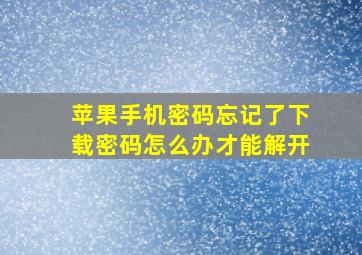 苹果手机密码忘记了下载密码怎么办才能解开