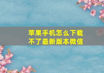 苹果手机怎么下载不了最新版本微信