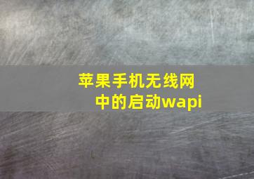 苹果手机无线网中的启动wapi