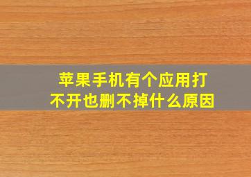 苹果手机有个应用打不开也删不掉什么原因