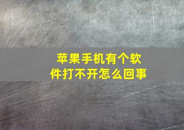 苹果手机有个软件打不开怎么回事