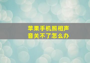 苹果手机照相声音关不了怎么办