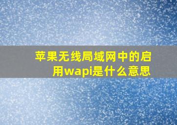 苹果无线局域网中的启用wapi是什么意思