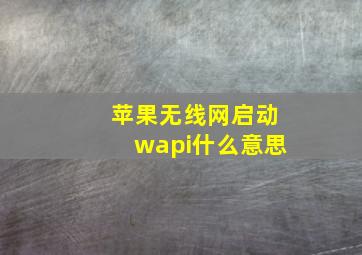 苹果无线网启动wapi什么意思