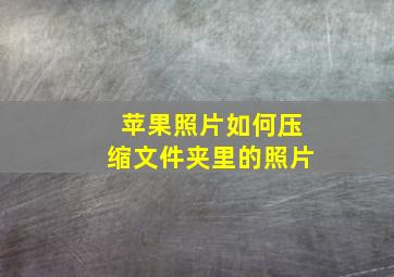 苹果照片如何压缩文件夹里的照片