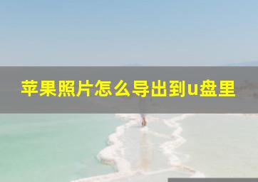 苹果照片怎么导出到u盘里