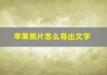 苹果照片怎么导出文字