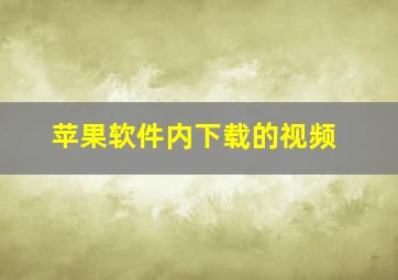 苹果软件内下载的视频