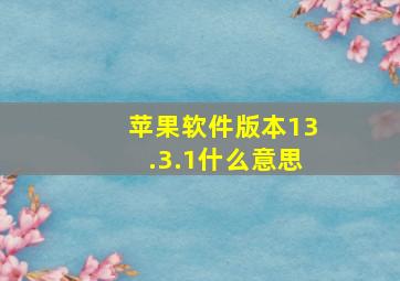 苹果软件版本13.3.1什么意思