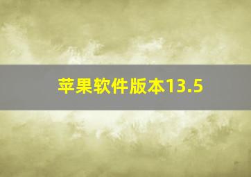 苹果软件版本13.5