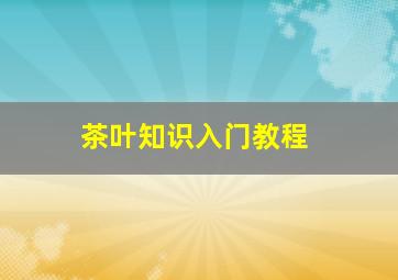 茶叶知识入门教程