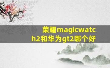 荣耀magicwatch2和华为gt2哪个好