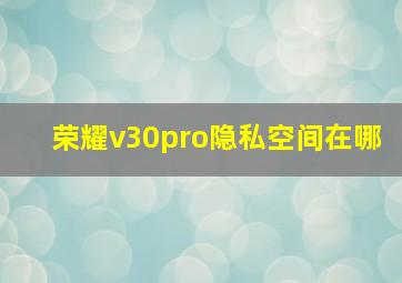 荣耀v30pro隐私空间在哪