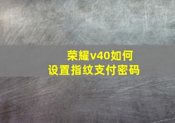 荣耀v40如何设置指纹支付密码