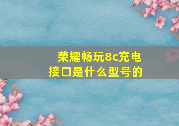 荣耀畅玩8c充电接口是什么型号的