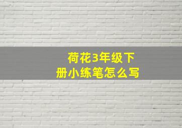 荷花3年级下册小练笔怎么写