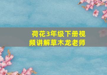 荷花3年级下册视频讲解草木龙老师