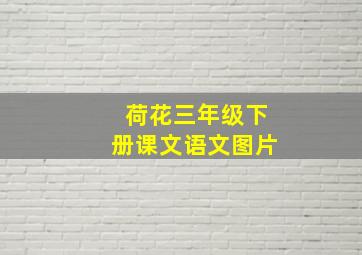 荷花三年级下册课文语文图片