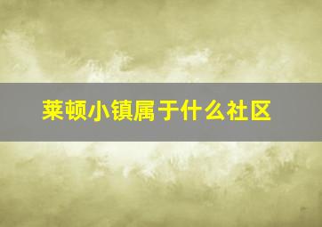 莱顿小镇属于什么社区