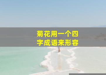 菊花用一个四字成语来形容