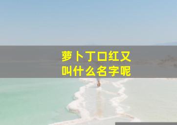 萝卜丁口红又叫什么名字呢