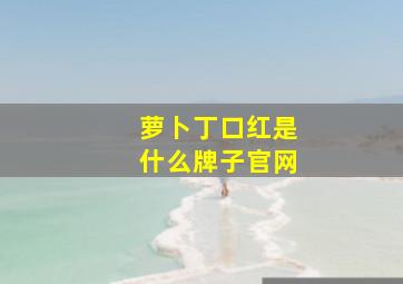 萝卜丁口红是什么牌子官网