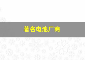 著名电池厂商