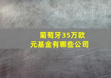 葡萄牙35万欧元基金有哪些公司