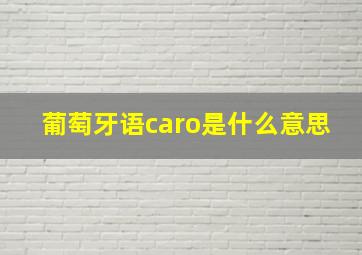 葡萄牙语caro是什么意思