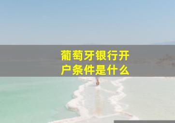 葡萄牙银行开户条件是什么