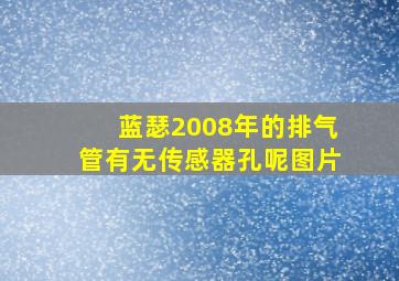 蓝瑟2008年的排气管有无传感器孔呢图片