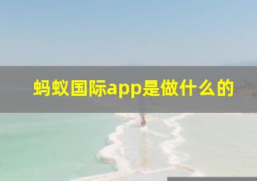 蚂蚁国际app是做什么的