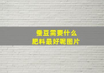 蚕豆需要什么肥料最好呢图片