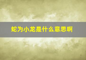 蛇为小龙是什么意思啊